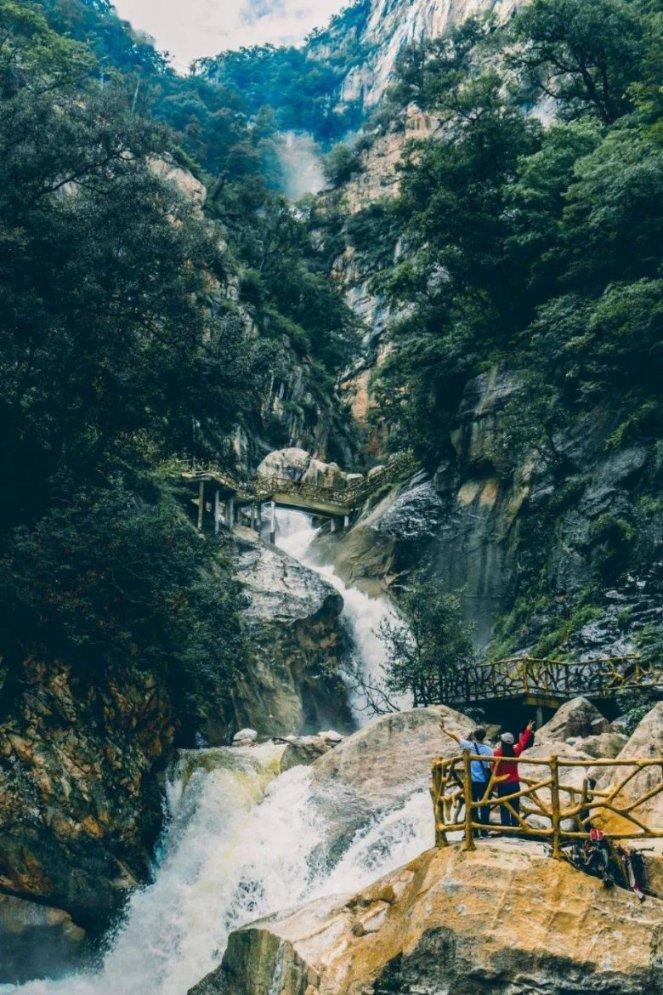 救援深海动物